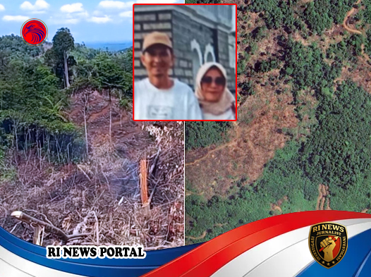 Istri Mantan Kepala Kampung Akui Suami Perambah Hutan Produksi Terbatas