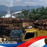 Krisis BBM di Subulussalam Melumpuhkan Rantai Pasok Pangan dan Industri Sawit