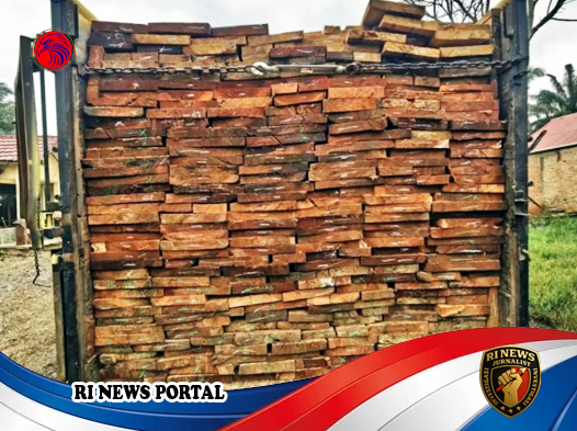 Polda Riau Tangkap Dua Pelaku Pengangkut 10 Kubik Kayu Olahan Tanpa Dokumen Sah