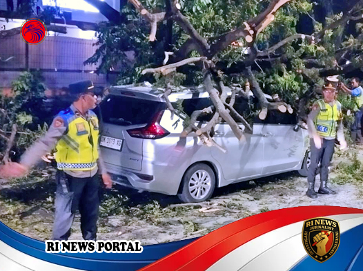 Respons Cepat Cegah Dampak Lebih Luas