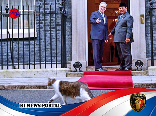 Bagaimana Seekor Kucing Mencairkan Pertemuan Prabowo-Starmer