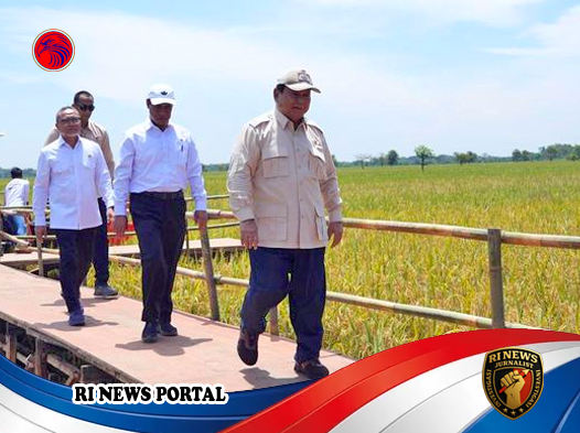 Capaian Historis Ketahanan Pangan- Presiden Prabowo Subianto Saksikan Panen Raya dan Tekankan Kemandirian Nasional di Tengah Geopolitik Global