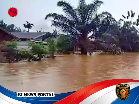 Jurang antara Janji Pusat dan Realitas Lapangan