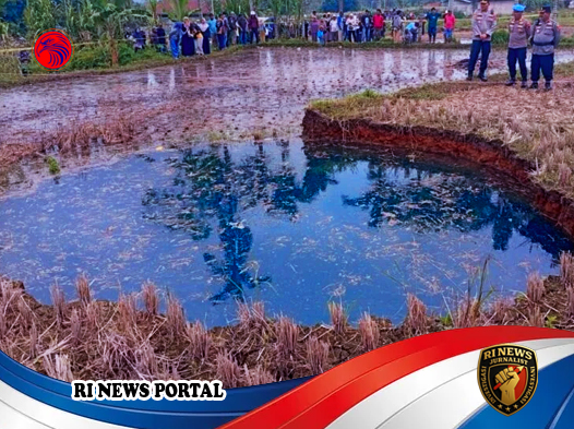 Kajian Geologi Ungkap Potensi Risiko Amblas dan Imbauan Darurat untuk Warga