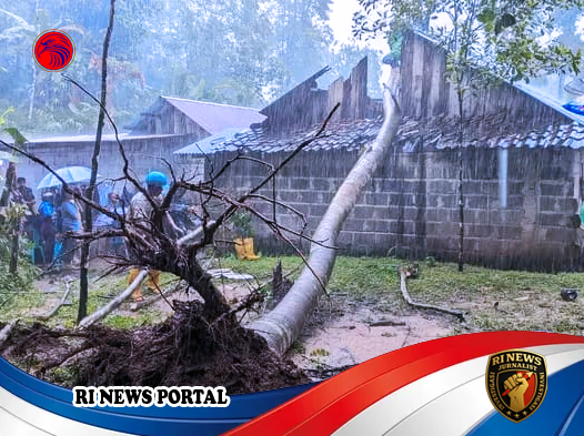 Pohon Sengon Raksasa Tumbang Timpa Rumah Warga di Batang