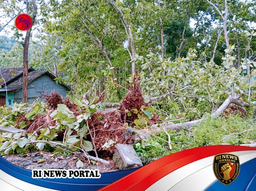 Respons Cepat Pemerintah Lokal Cegah Dampak Lebih Luas