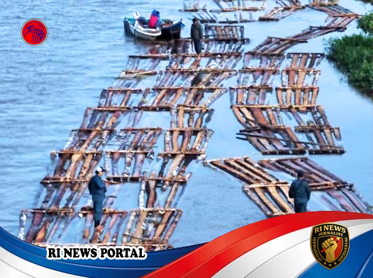 Tim Penegakan Hukum Kehutanan Gagalkan Peredaran 600 Batang Kayu Ilegal di Sungai Pawan