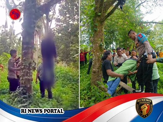 Tragedi Sunyi di Kebun Durian