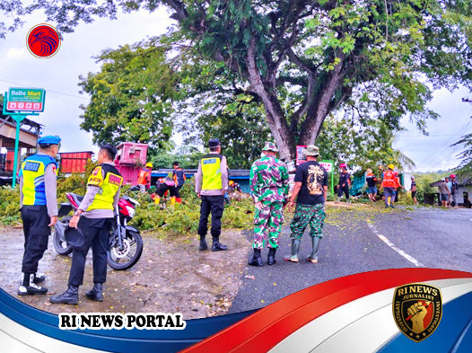 Upaya Mitigasi Pohon Rawan Tumbang untuk Antisipasi Musim Hujan