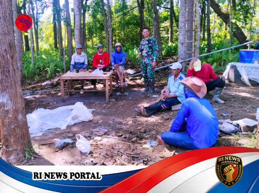 Babinsa Serda Awaludin Intensifkan Pembinaan Teritorial di Tengah Kesibukan Warga Slogohimo