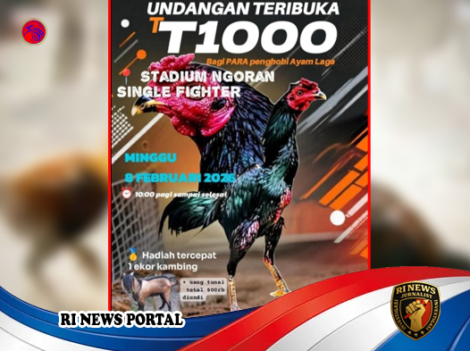 Dugaan Judi Sabung Ayam di Stadion Ngaron
