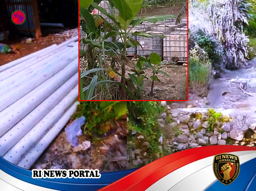 Dugaan Praktik Pertambangan Minyak Ilegal Mencuat Kembali di Kendal