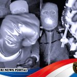 Jejak Pertama Penculikan Nancy Guthrie yang Mengguncang Amerika