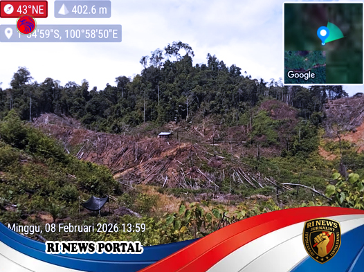 Perambahan Sawit Masif Mengancam Ekosistem Bukit Barisan Air Haji