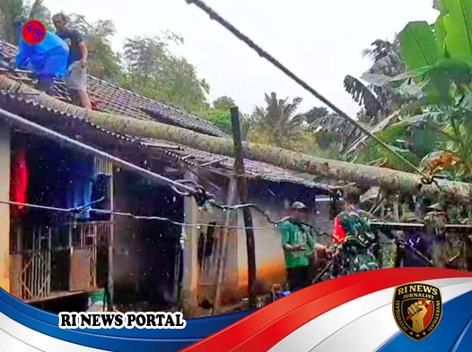 Pohon Kelapa Tumbang Timpa Rumah Warga di Rongkop Gunungkidul