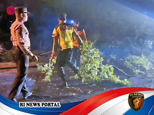Pohon Tumbang Lumpuhkan Jalur Vital Wonogiri-Ponorogo