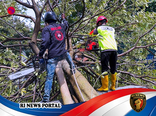 Respons Cepat Brimob Selamatkan Akses Jalan dan Halaman Masjid dari Pohon Tumbang di Semarang Barat
