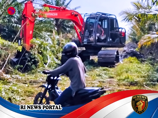 Ekskavator Beroperasi di Hutan Lindung Pesisir Silaut