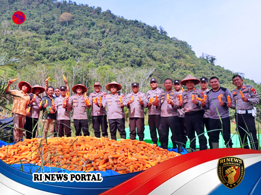 Kapolres Melawi Turun Langsung ke Ladang