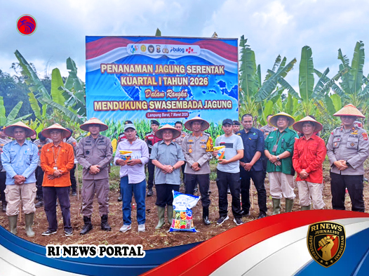 Lampung Barat Gelar Tanam Jagung Massal Awal 2026