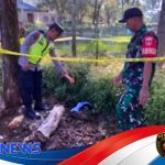 Mayat Bayi Ditemukan di Perkebunan Wonogiri