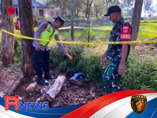 Mayat Bayi Ditemukan di Perkebunan Wonogiri