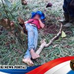 Pembunuhan Brutal di Kebun Terpencil Jagaraga