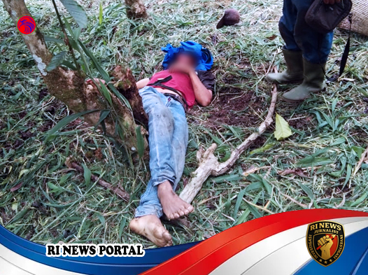 Pembunuhan Brutal di Kebun Terpencil Jagaraga