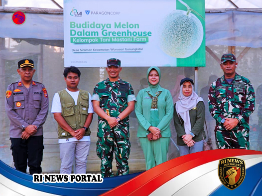 Petani Melon Gunungkidul Jadi Penopang Gizi Masyarakat