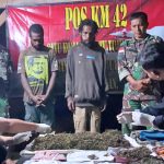 Satgas Pamtas Yonif 403-WP Gagalkan Penyelundupan 2 Kg Ganja di Perbatasan RI-PNG