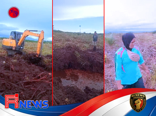 Dugaan Perambahan Lahan Negara di Pesisir Selatan