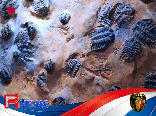 Fosil Kuno di Yunnan Ungkap Transisi Rahasia