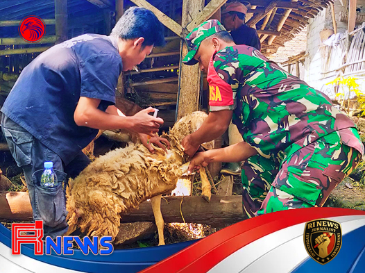 Jaga Ketahanan Peternakan Gunungkidul