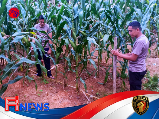Komitmen Nyata Polres Melawi Wujudkan Ketahanan Pangan Nasional