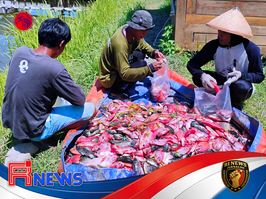 Lapas Kendal Panen Raya Ikan Nila