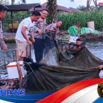 Panen Lele Dumbo di Kolam Belakang Mako