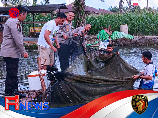Panen Lele Dumbo di Kolam Belakang Mako