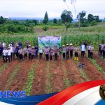 Strategi Institusional Polres Melawi dalam Mendukung Swasembada Jagung Nasional