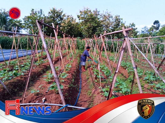 Tahun 2026 Diprediksi Alami Kemarau Panjang