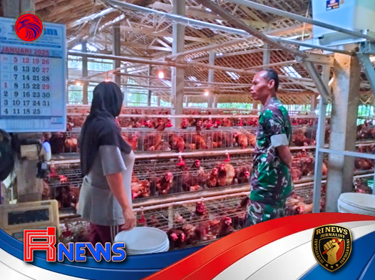 Babinsa Purwantoro Dampingi Peternak Ayam Petelur