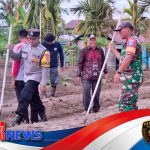 Bhabinkamtibmas dan Babinsa Tanam Jagung Hibrida Demi Ketahanan Pangan Nasional