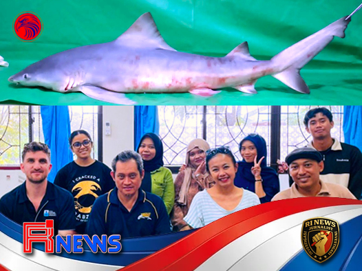 Harapan Baru dari Sungai Sesayap