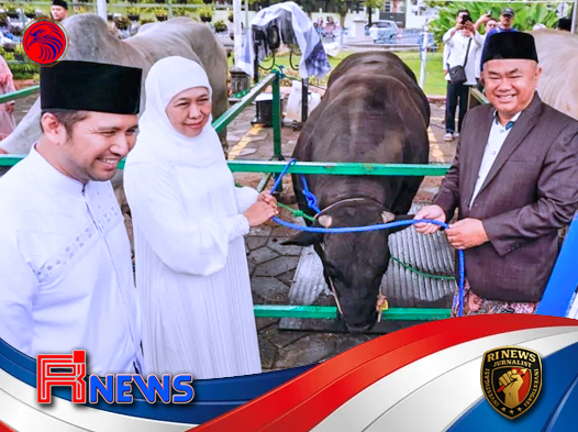 Khofifah Serahkan Sapi Kurban Presiden Prabowo di Masjid Nasional Al Akbar