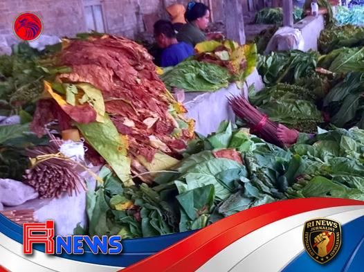 Petani Tembakau dan Cengkeh Berteriak Minta Perlindungan