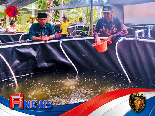 Sukses Budidaya Ikan Nila Dorong Ekonomi Nagari