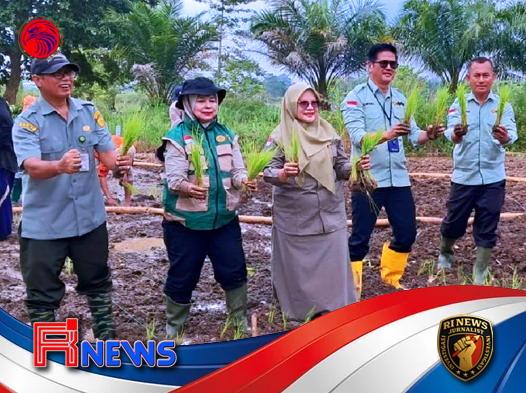 Jambi Siap Genjot Produksi Padi