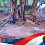 Fenomena Pesugihan Kandang Bubrah