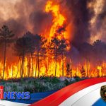 Kebakaran Hutan Terparah di Castilla-La Mancha Hanguskan Ribuan Hektar Warisan Alam Spanyol