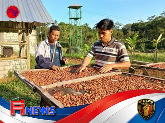 Kemenhut Akselerasi Hilirisasi Hutan untuk Dorong Ekonomi Berkelanjutan