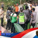 Lansia Purbalingga Meninggal Saat Memetik Kelapa di Ketinggian 15 Meter